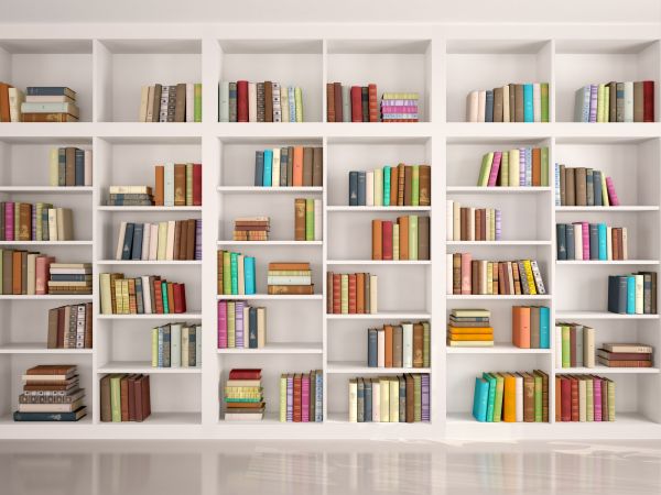 Bookshelf Assembly in Salt Lake City